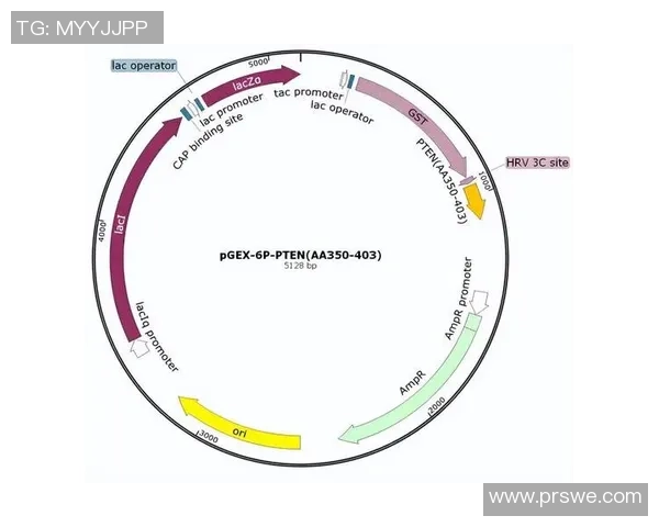 武汉极限运动队整体压制现象分析及其对运动发展的影响探讨